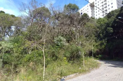 Terreno à venda na Alameda Das Araucárias, 52, Borgo, Bento Gonçalves