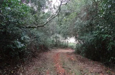 Terreno à venda na Tentro, S/n, 1, Vale dos Vinhedos (Distrito), Bento Gonçalves