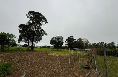 Terreno à venda na Castelo Branco, 269, Planalto, Carlos Barbosa