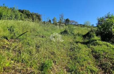 Sítio na rs 444 linha 100 da leopoldina monte belo do sul