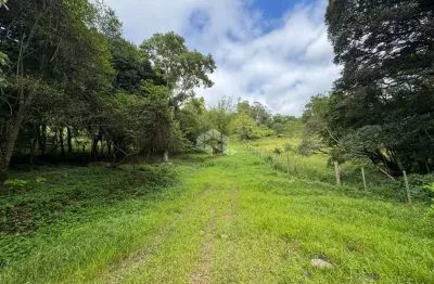 Chácara / sítio à venda na Rodovia Rst 470, 12, Zona Rural, Carlos Barbosa