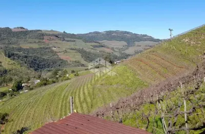 Terreno à venda na Linha Fernandes Lima, 31, Zona Rural, Monte Belo do Sul