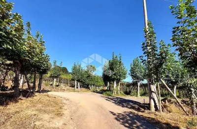 Chácara / sítio à venda na Marcílio Dias, 30, Centro, Garibaldi