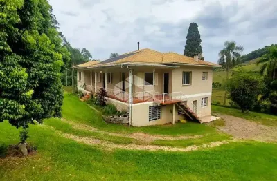 Chácara / sítio à venda na Rs 431 Linha Paulina, 11, Faria Lemos (Distrito), Bento Gonçalves