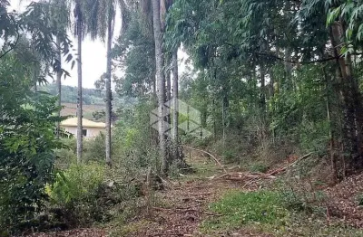 Chácara / sítio à venda na Rs 431, 10, Faria Lemos (Distrito), Bento Gonçalves