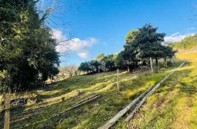 Terreno à venda na Vrs 855 Linha Palmeiro, 119, São Pedro, Bento Gonçalves