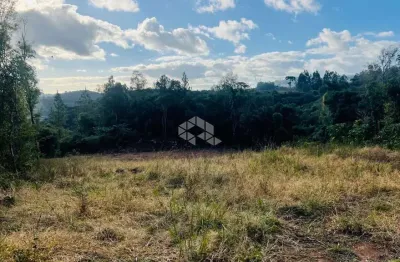 Terreno à venda na Vrs 855 Linha Palmeiro, 120, São Pedro, Bento Gonçalves