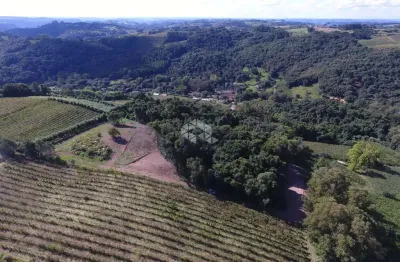 Terreno à venda na Linha Palmeiro, 56, Centro, Pinto Bandeira