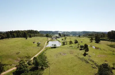 Chácara / sítio à venda na Estr. Mun. Fr 33, 1, Nova Sardenha (Distrito), Farroupilha