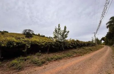 Chácara / sítio com 4 quartos à venda na Rs 431, 800, Faria Lemos (Distrito), Bento Gonçalves
