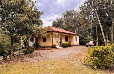 Chácara / sítio com 4 quartos à venda na Rs 431, 800, Faria Lemos (Distrito), Bento Gonçalves