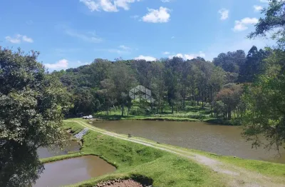 Chácara / sítio com 3 quartos à venda na Antônio Pertile, 905, Tamandaré, Garibaldi