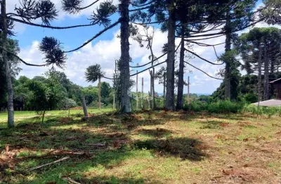 Terreno à venda na Antonio Dal Piva, 58, Tuiuty (Distrito), Bento Gonçalves