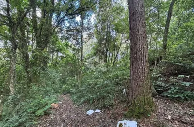 Terreno à venda na Rua São Paulo, 729, Borgo, Bento Gonçalves