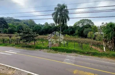 Terreno à venda na Rua Das Videiras, 10, Garibaldina, Garibaldi