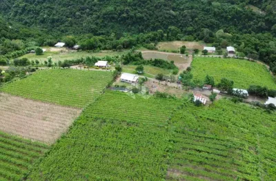 Área de terras com 9 hectares no 100 da leopoldina. monte belo do sul