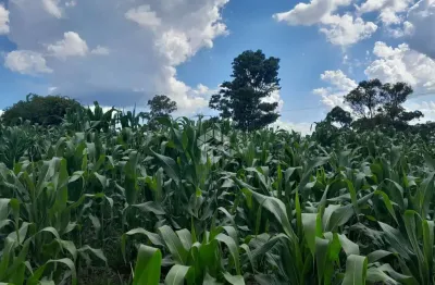 Terreno à venda na Antonio Dal Piva, 17, Tuiuty (Distrito), Bento Gonçalves