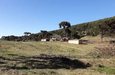 Chácara / sítio com 5 quartos à venda na Arthur Pagani, 40, 1, Centro, Urupema