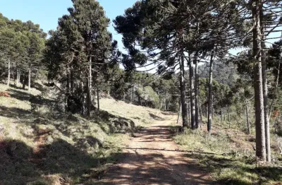 Chácara / sítio com 5 quartos à venda na Arthur Pagani, 40, 1, Centro, Urupema