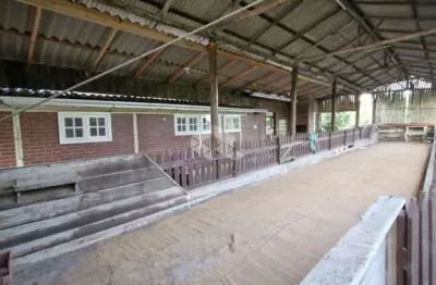 Chácara / sítio com 3 quartos à venda na Estrada São Caetano, 6700, Lami, Porto Alegre
