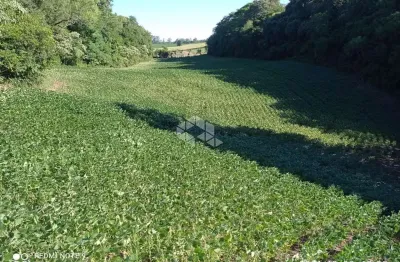 Chácara / sítio à venda na Rua Venâncio Ribas, 1, Parque Serrano, Itaara