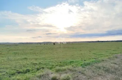 Área Rural à venda com 143 hectares no Arenal em Santa Maria RS