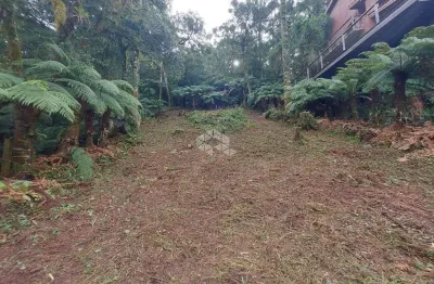 Terreno em condomínio fechado à venda na Das Lebres, 130, Quinta da Serra, Canela