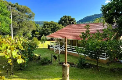 Descubra seu refúgio em gramado: sítio com casa à venda