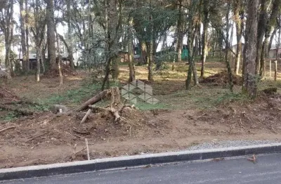 Terreno 427,67m²,  localizado no bairro são luis , canela