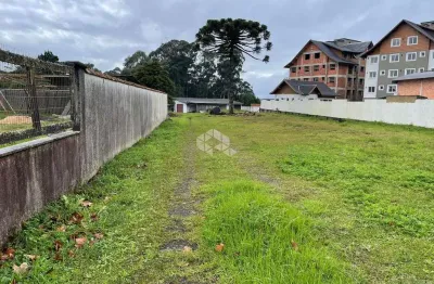 Barracão / Galpão / Depósito à venda na Avenida Cônego João Marchesi, 478, Canelinha, Canela