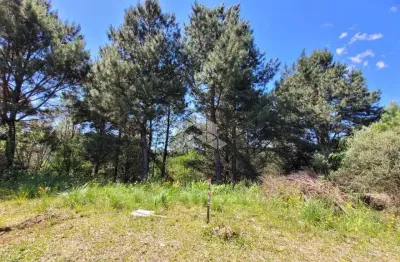 Terreno à venda na C (Lot Marsal), 15, Dutra, Gramado