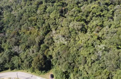 Terreno à venda na Rua Cezare Vaccari, 626, Alpes Verdes, Canela