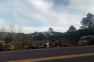 Terreno a venda  em canela - 1.170m² plano, ensolarado e próximo ao parque do caracol