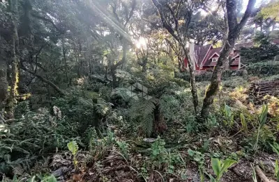 Terreno à venda na Narciso Vicente Perottoni, 3, Bosque Sinoserra, Canela