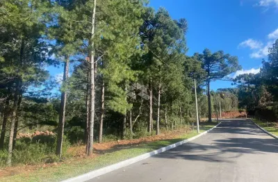 Terreno à venda na Waldi Kich, 2, Dutra, Gramado