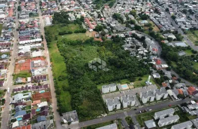 Terreno á venda, medindo 30.000  m². em são leopoldo/rs