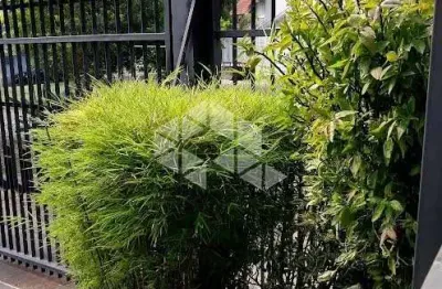 Apartamento com 2 quartos à venda na Rua Dezesseis de Julho, 181, São João, Porto Alegre