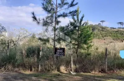 Terreno urbano esquina 535 m2 no bairro são luiz em caxias do sul