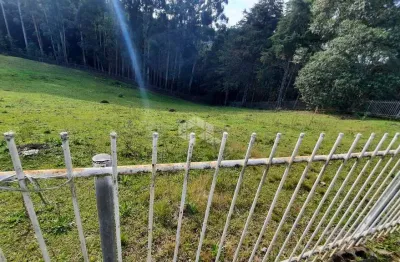 Chácara em forqueta,  com 4000 m2 , casa, água, luz, internet. 5 minutos do centro de forqueta