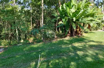 Chácara de 2,4 ha na linha feijo / colônia sertolina, caxias do sul