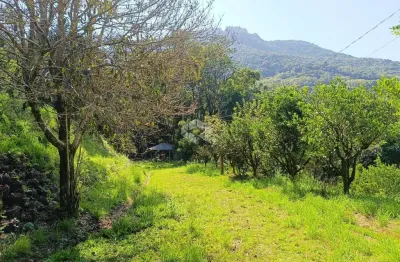 Chácara / sítio com 2 quartos à venda na Rodovia BR-116, 3074, Vila Cristina, Caxias do Sul