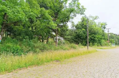 Terreno à venda na Rua Doutor Emílio Ataliba Finger, 1926, Nossa Senhora da Saúde, Caxias do Sul