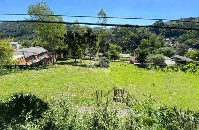 Terreno à venda na Rodovia BR-116, 73, Salgado Filho, Caxias do Sul