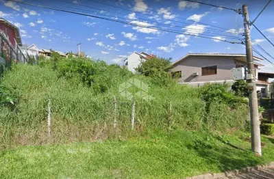 Terreno à venda na Rua Alcebíades Antônio dos Santos, 466, Nonoai, Porto Alegre