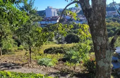 Terreno à venda na Raineri Petrini, 333, Volta Grande, Farroupilha