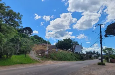 Terreno à venda na Km 9, 3, São Pedro, Bento Gonçalves