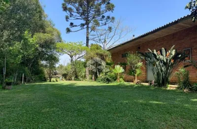 Chácara / sítio com 5 quartos à venda na Área Rural, 2, Zona Rural, Farroupilha