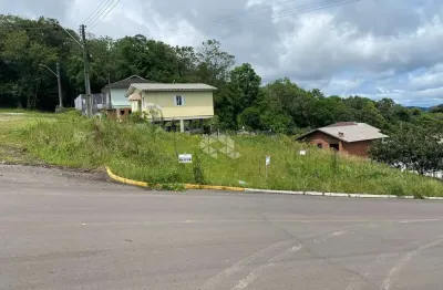 Terreno à venda na José Olinto Volpini, 1383, Monte Verde, Farroupilha