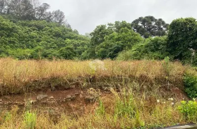 Terreno à venda na Área Rural, 02, Zona Rural, Farroupilha