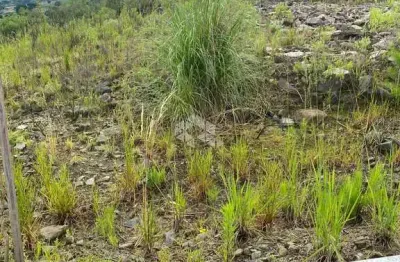 Terreno à venda na Área Rural, 735, Zona Rural, Farroupilha